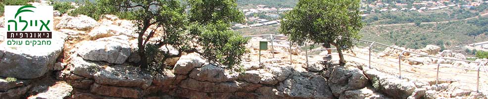 טיול לגליל מערבי- גבול הצפון- מכוניות פרטיות