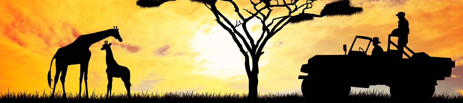 חבילות ליוהנסבורג