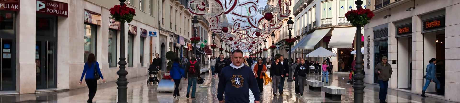 טיסות למלגה