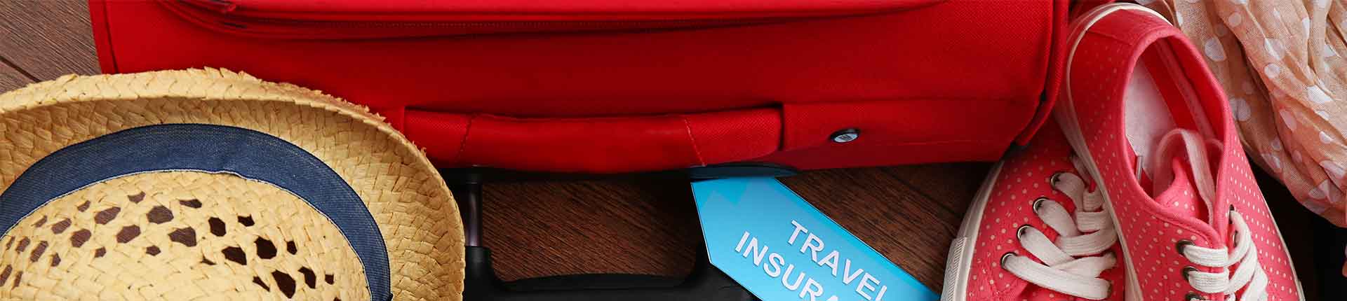 טיולים מאורגנים לשוויץ