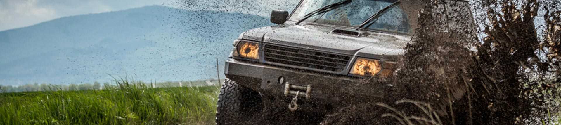 טיולים בישראל