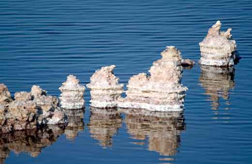 מלונות בישראל ים המלח