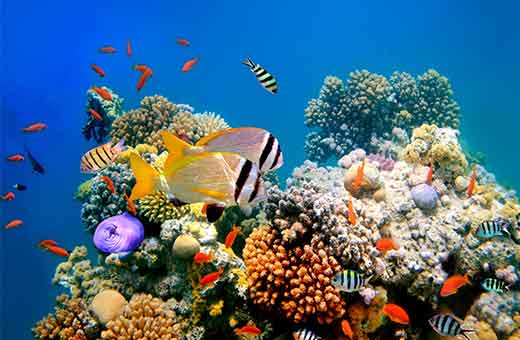 מלונות בישראל