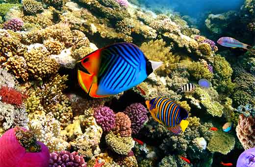 מלונות בישראל אילת