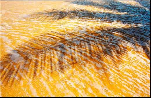 טיולים מאורגנים