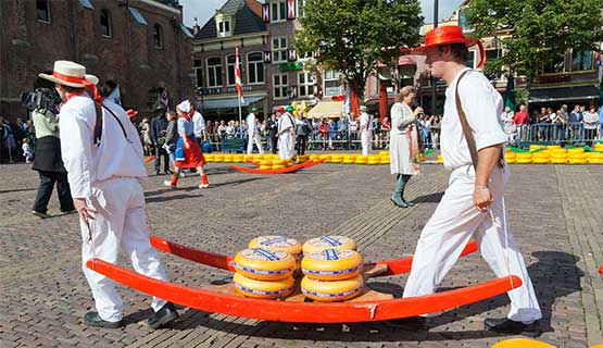 טיולים מאורגנים