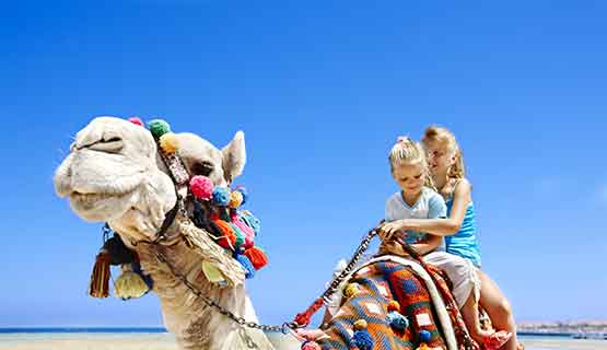 מלונות בישראל אשקלון הנגב והסביבה