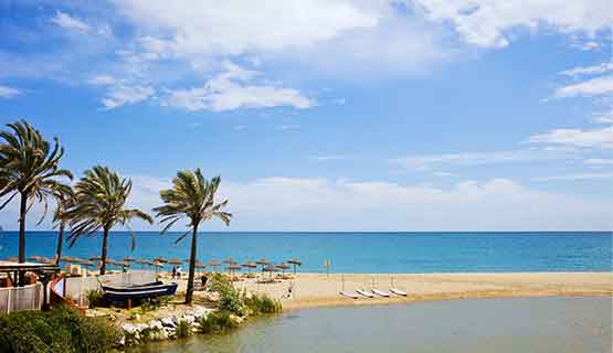 טיולים מאורגנים