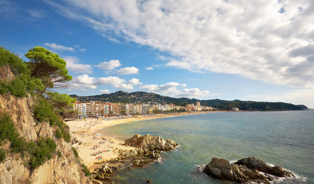 טיולים מאורגנים