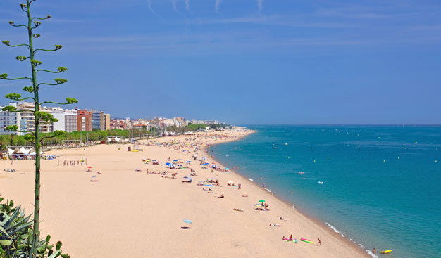 טיולים מאורגנים