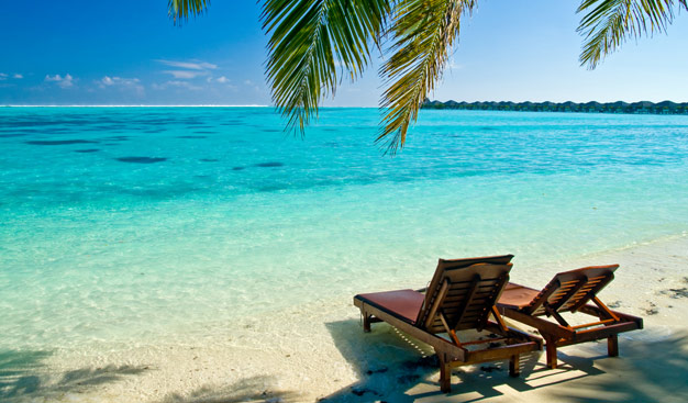 טיולים מאורגנים